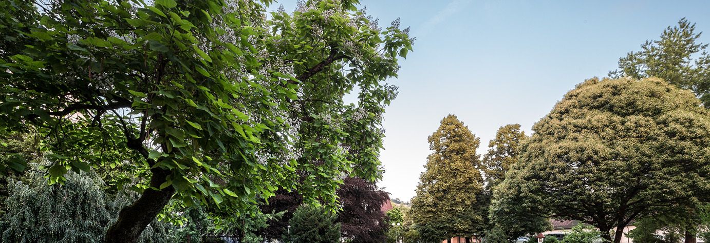Garten1 Garten1