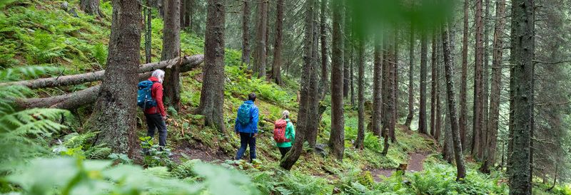 Waldbaden Gargellen Waldbaden Gargellen