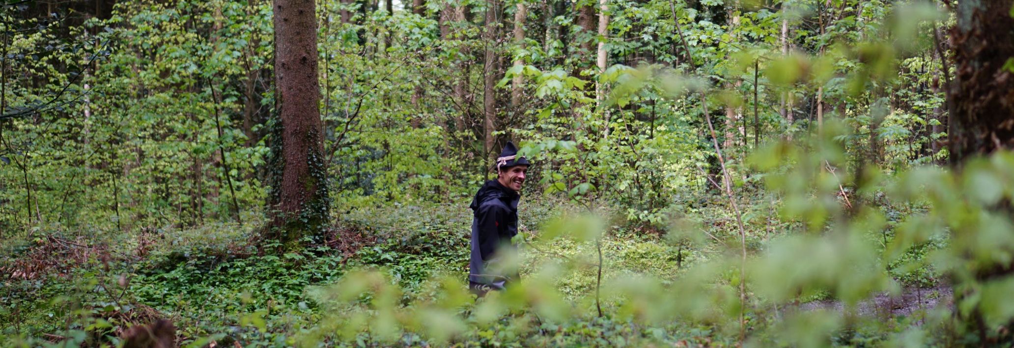 Waldschule Programm Waldschule Programm