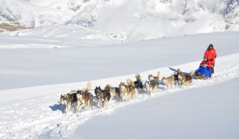 Husky Incentive, Vorarlberg Husky Incentive, Vorarlberg