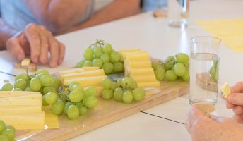 Verkostung Alpenkäse Bregenzerwald Verkostung Alpenkäse Bregenzerwald