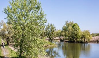 BirdsClub Rheindelta