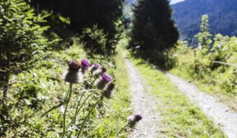 Energieweg Energieweg