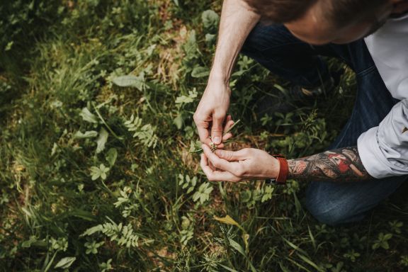 Kräutergarten Kochmeisterei, Hohenems