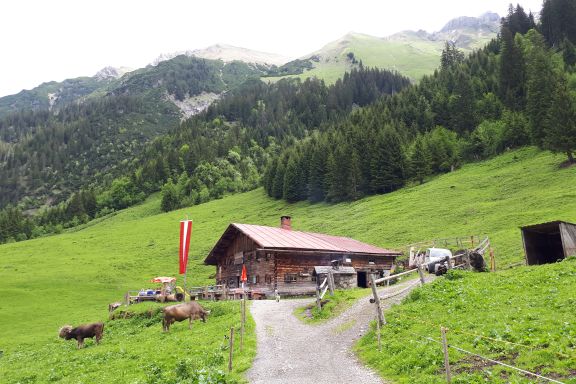 Alpe Genusswanderung Kleinwalsertal