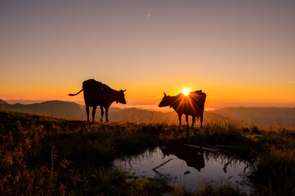Sonnenaufgangswanderung Vordere Niedere
