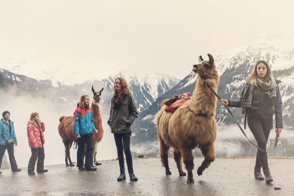 Wandern mit Lamas, Silbertal in Vorarlberg