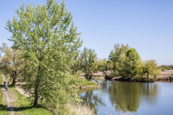 BirdsClub Rheindelta BirdsClub Rheindelta