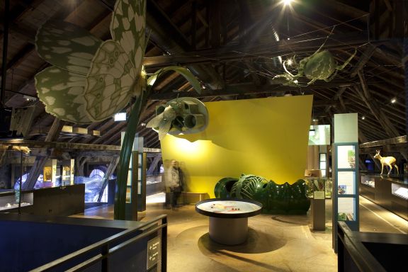 Ausstellung inatura Erlebnisnaturschau, Dornbirn Ausstellung inatura Erlebnisnaturschau, Dornbirn