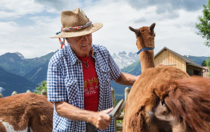 Lama-Trekking im Montafon Lama-Trekking im Montafon