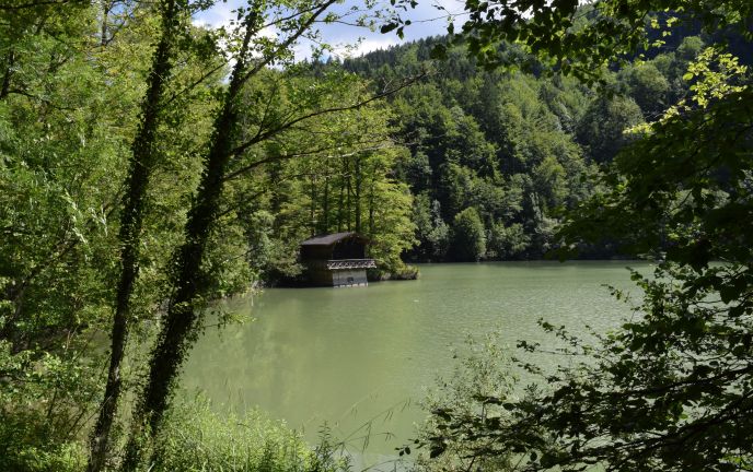 Stausee in der Rappenlochschlucht Dornbirn