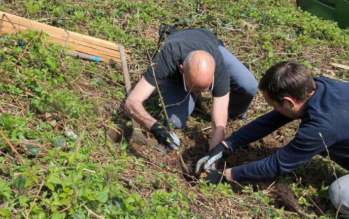 Waldschule Programm Waldschule Programm