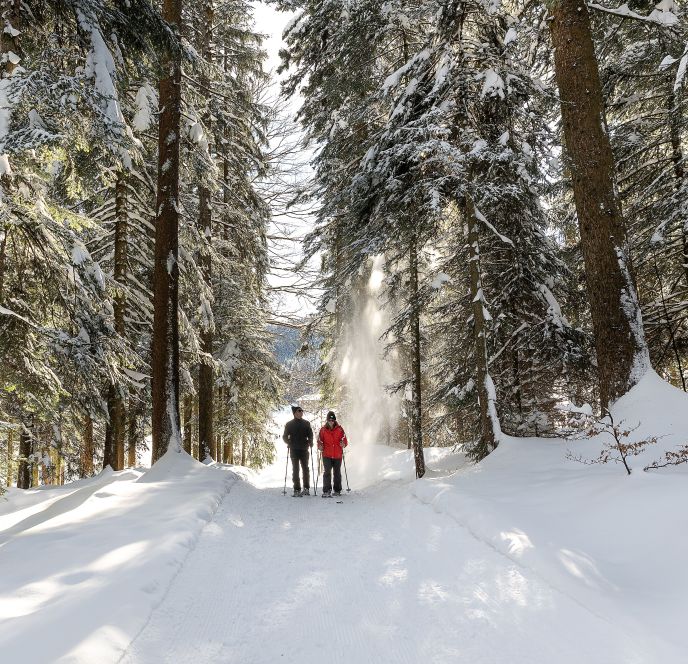 (c)Gabi Metzler Photography Schneeschuh GeiÃkopf-5.jpg
