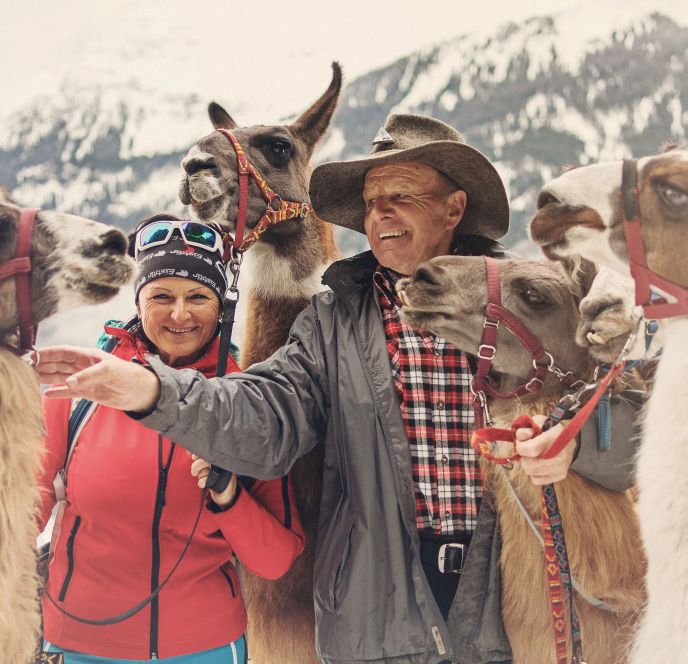 Lamatrekking im Silbertal