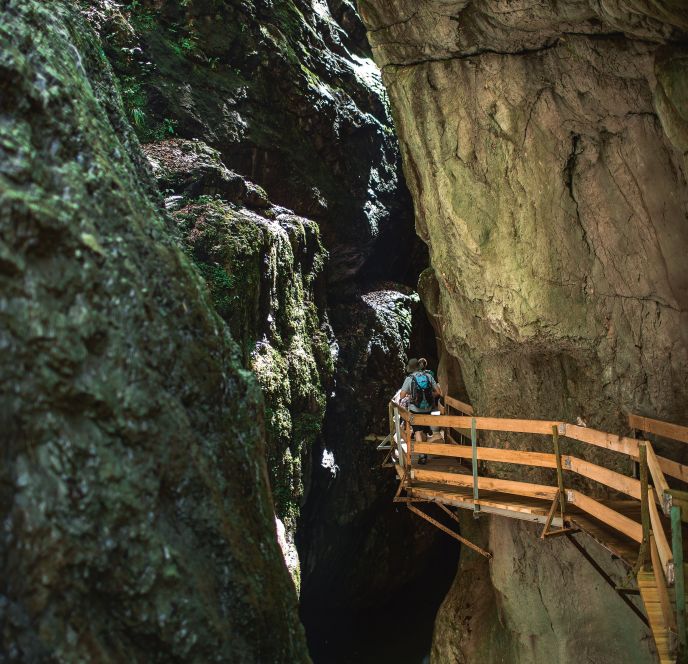 Führung in der Rappenlochschlucht in Dornbirn