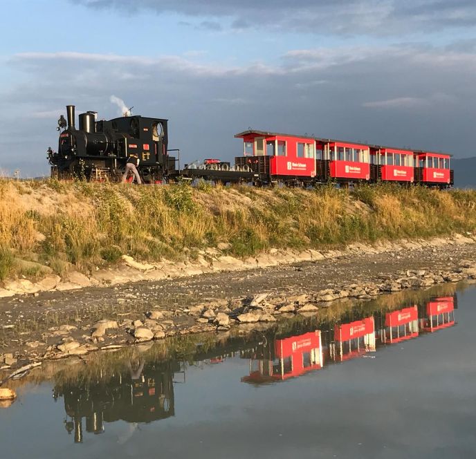 Rheinbähnle am Rheindamm Rheinbähnle am Rheindamm
