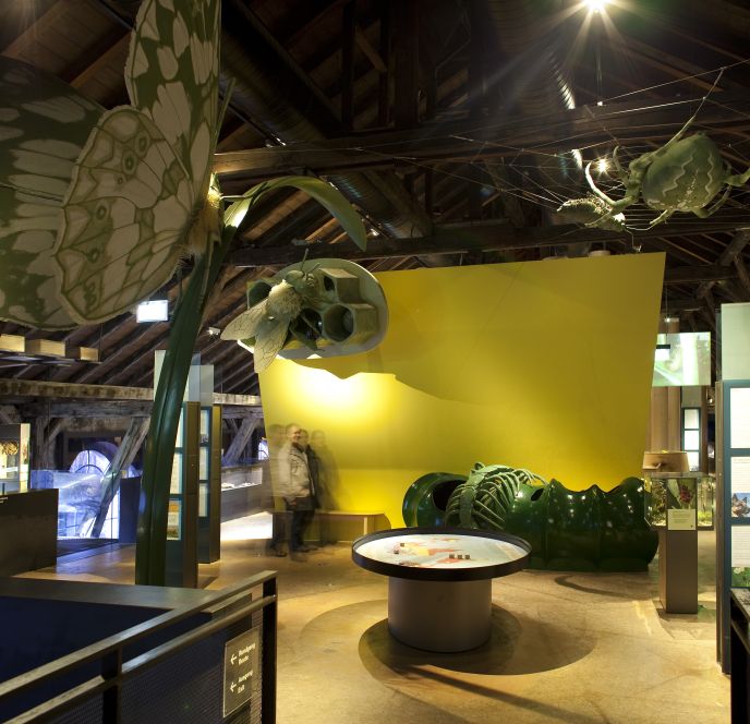 Ausstellung inatura Erlebnisnaturschau, Dornbirn Ausstellung inatura Erlebnisnaturschau, Dornbirn